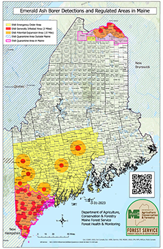 map of emerald ash borer quarantine in Maine